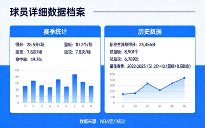 球员详细数据档案页面，包含赛季统计与历史数据